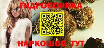 твердый Будённовск
