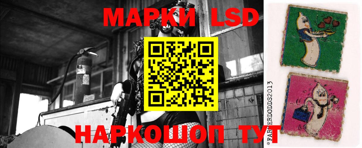 ЛСД экстази кислота  Вход с VPN  Лсд 25 экстази кислота  Курчалой 