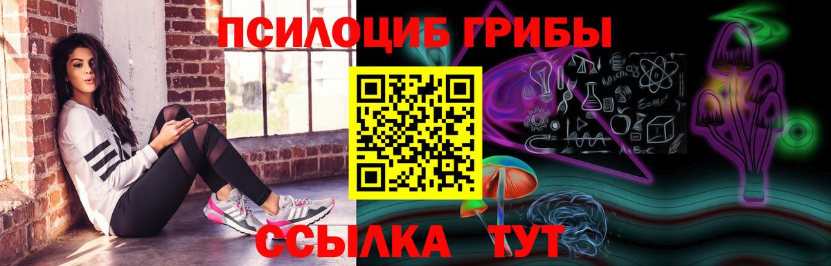 Псилоцибиновые грибы ЛСД Курчалой