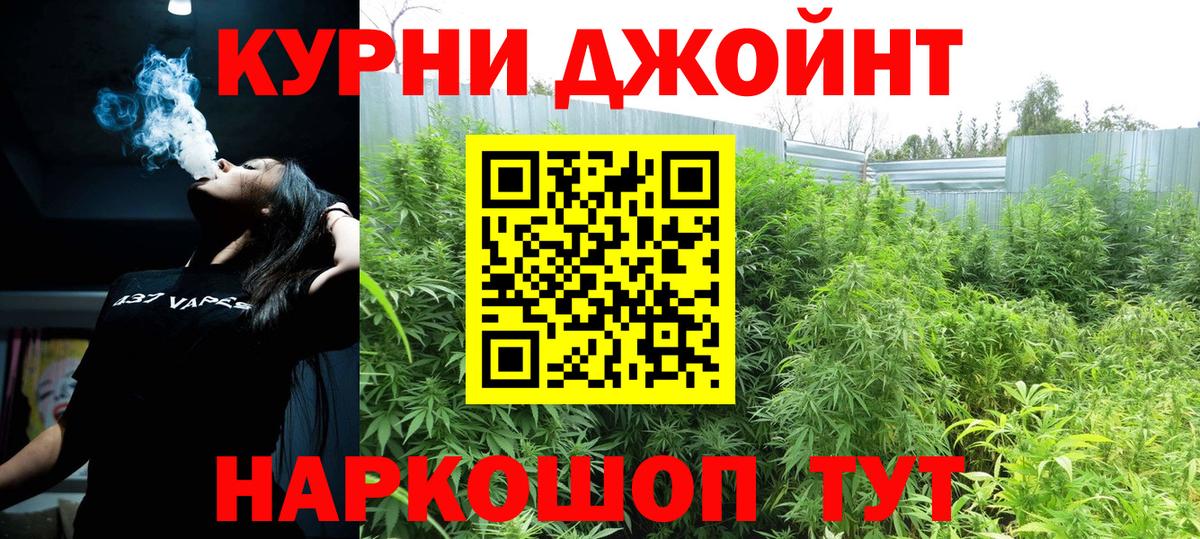 МАРИХУАНА гибрид Курчалой